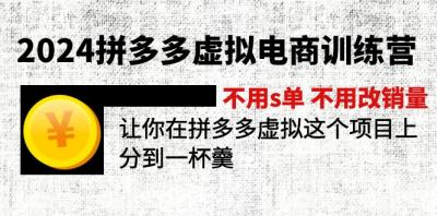 2024拼多多虚拟电商训练营 不s单 不改销量  做虚拟项目分一杯羹(更新10节