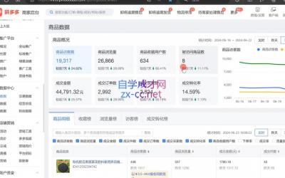 大麦老师·拼多多单品爆款打造课程(更新6月)