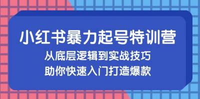 小红书暴力起号训练营,从底层逻辑到实战技巧,助你快速入门打造爆款