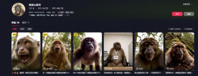 最新爆火的峨眉山猴子短视频制作教程,条条点赞10w+,谁做谁火【教程+提示词】