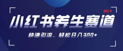 AI+可画生成小红书养生作品,新手暴力起号,矩阵操作,轻松日入3张+