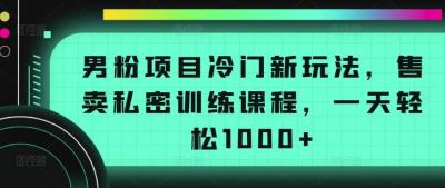 男粉项目冷门新玩法,售卖私密训练课程,一天轻松1000+【揭秘】