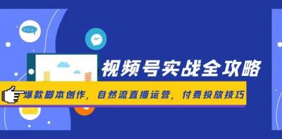 视频号实战全攻略,爆款脚本创作,自然流直播运营,付费投放技巧