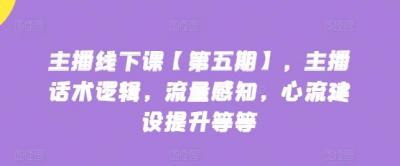 主播线下课【第五期】,主播话术逻辑,流量感知,心流建设提升等等