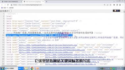 文老师·零基础SEO优化课程