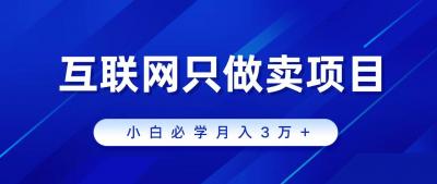 (9623期)互联网的尽头就是卖项目，被割过韭菜的兄弟们必看！轻松月入三万以上！