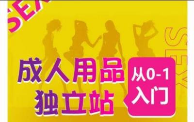 成人用品独立站从0-1入门,成品独立站运营全流程教学,七大好卖成品独立站推荐