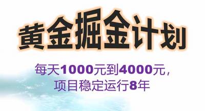 2025年最暴力项目“黄金对冲掘金计划”，每日实际收益1K-4K。分公司月...