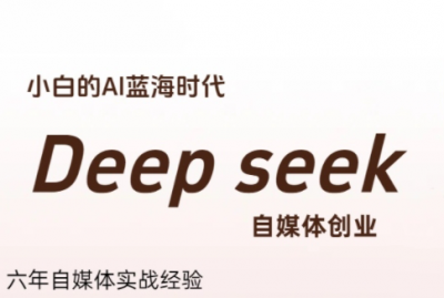 冰冰老师·普通人如何利用Deepseek创业