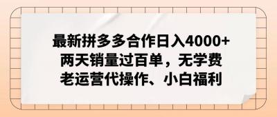 最新拼多多合作日入4000+两天销量过百单，无学费、老运营代操作、小白福利