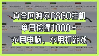 真全网独家CSGO挂机，单日捡漏1000+，不用电脑，不用养号