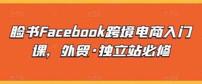 脸书Facebook跨境电商入门课,外贸·独立站必修