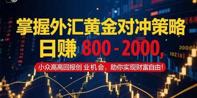 掌握外汇黄金对冲策略，日赚 800 - 2000，小众高回报创业机会，助你实...