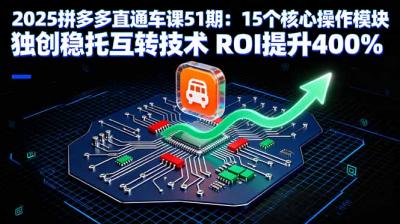 2025拼多多直通车课51期：15个核心操作模块 独创稳托互转技术 ROI提升400%
