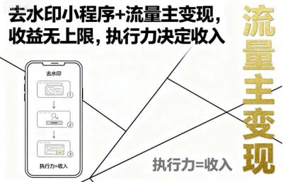 去水印小程序+流量主变现，收益无上限，执行力决定收入