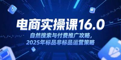 淘宝电商运营课16.0，自然搜索与付费推广攻略，2025年标品非标品运营策略