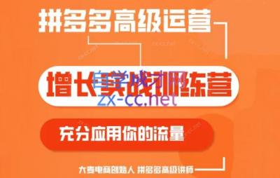 大麦老师·拼多多单品爆款打造课程(更新6月)