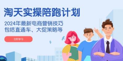 淘天实操陪跑计划,2024年最新电商营销技巧,包括直通车、大促策略等