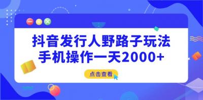 抖音发行人野路子玩法，手机操作一天2000+