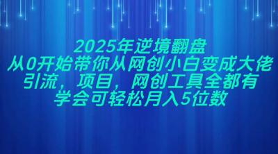 2025年逆境翻盘，从0开始带你从网创小白变成大佬，引流，项目，网创工...