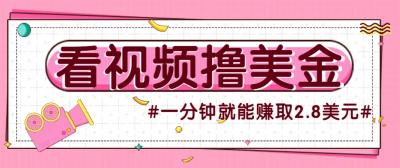 国外无脑看直播撸美金项目,多账号操作,可收益放大,每分钟最高赚取2.8美元!