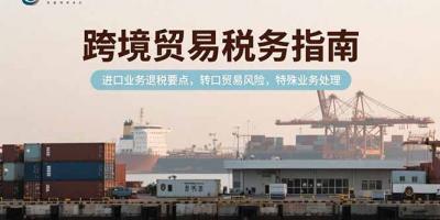 跨境贸易税务指南,进口业务退税要点,转口贸易风险,特殊业务处理