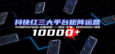 抖快红三大平台矩阵运营，12小时SOP实战+流量获取-风控-扩量，月引10000+线索