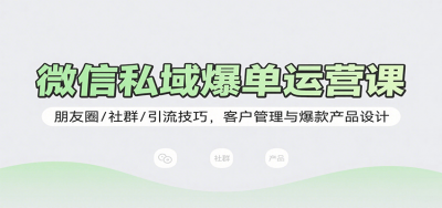微信私域爆单运营课：朋友圈/社群/引流技巧，客户管理与爆款产品设计