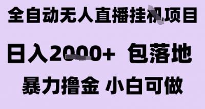 最新全自动抖音无人直播挂G项目，日入2k+ 包落地暴力撸金，小白可做【揭秘】
