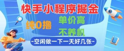快手小程序掘金，纯0撸，单价高不养机 利用空闲时间做一做，一天好几张【揭秘】