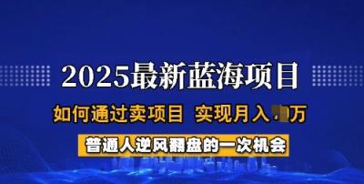 2025蓝海项目,普通人如何通过卖项目,实现月入过W,全过程【揭秘】
