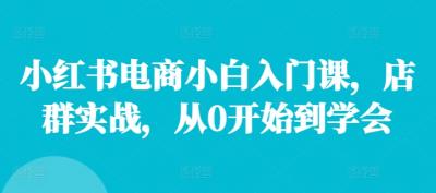 小红书电商小白入门课，店群实战，从0开始到学会