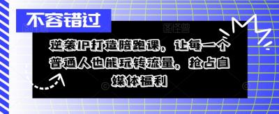 逆袭IP打造陪跑课,让每一个普通人也能玩转流量,抢占自媒体福利