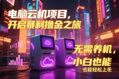电脑云机项目 暴力撸金玩法，不需要养机 配置没有要求 单机100个窗口一...