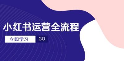 小红书运营全流程，爆款选题文案，视频制作技巧，进阶达人宝典