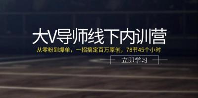 大V导师线下内训营：从零粉到爆单，一招搞定百万原创(78节45个小时)