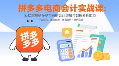 拼多多电商会计实战课:轻松掌握拼多多特有的会计逻辑与数据分析能力