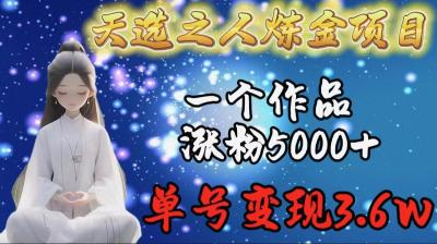 (9693期)天选之人炼金项目，一个作品涨粉5000+，单号变现3.6w