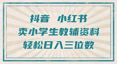 抖音小红书卖小学生教辅资料，操作简单，小白也能轻松上手，一个月利润1W+