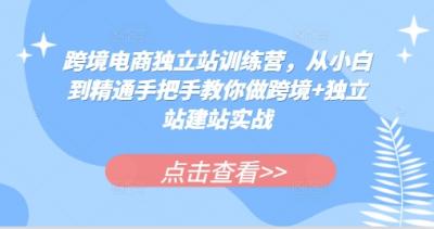 跨境电商独立站训练营,从小白到精通手把手教你做跨境+独立站建站实战