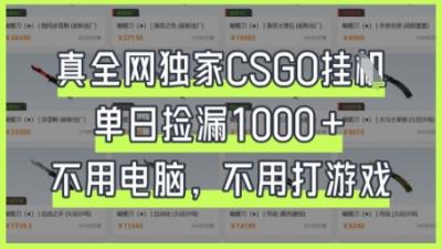 真全网独家CSGO挂G，单日捡漏1k+【揭秘】