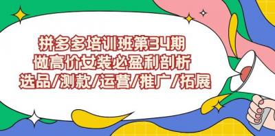 (9333期)拼多多培训班第34期:做高价女装必盈利剖析 选品/测款/运营/推广/拓展