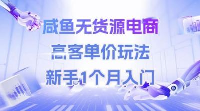 咸鱼无货源电商,高客单价玩法,新手1个月入门