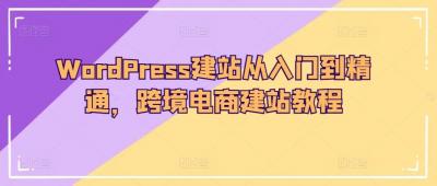 WordPress建站从入门到精通,跨境电商建站教程