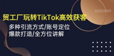 外贸工厂玩转TikTok高效获客,多种引流方式/账号定位/爆款打造/全方位讲解