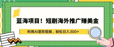 蓝海项目!短剧海外推广赚美金,利用AI混剪视频,轻松日入300+【揭秘】