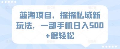 蓝海项目，探探私域新玩法，一部手机日入500+很轻松【揭秘】