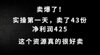 这个资源,需求很大,实操第一天卖了43份,净利润425【揭秘】