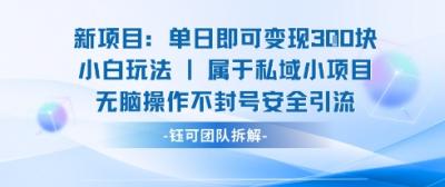 新项目单日即可变现3张的小白玩法无脑操作不封号安全引流