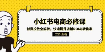 小红书电商必修课：付费投放全解析，快速提升店铺ROI与转化率
